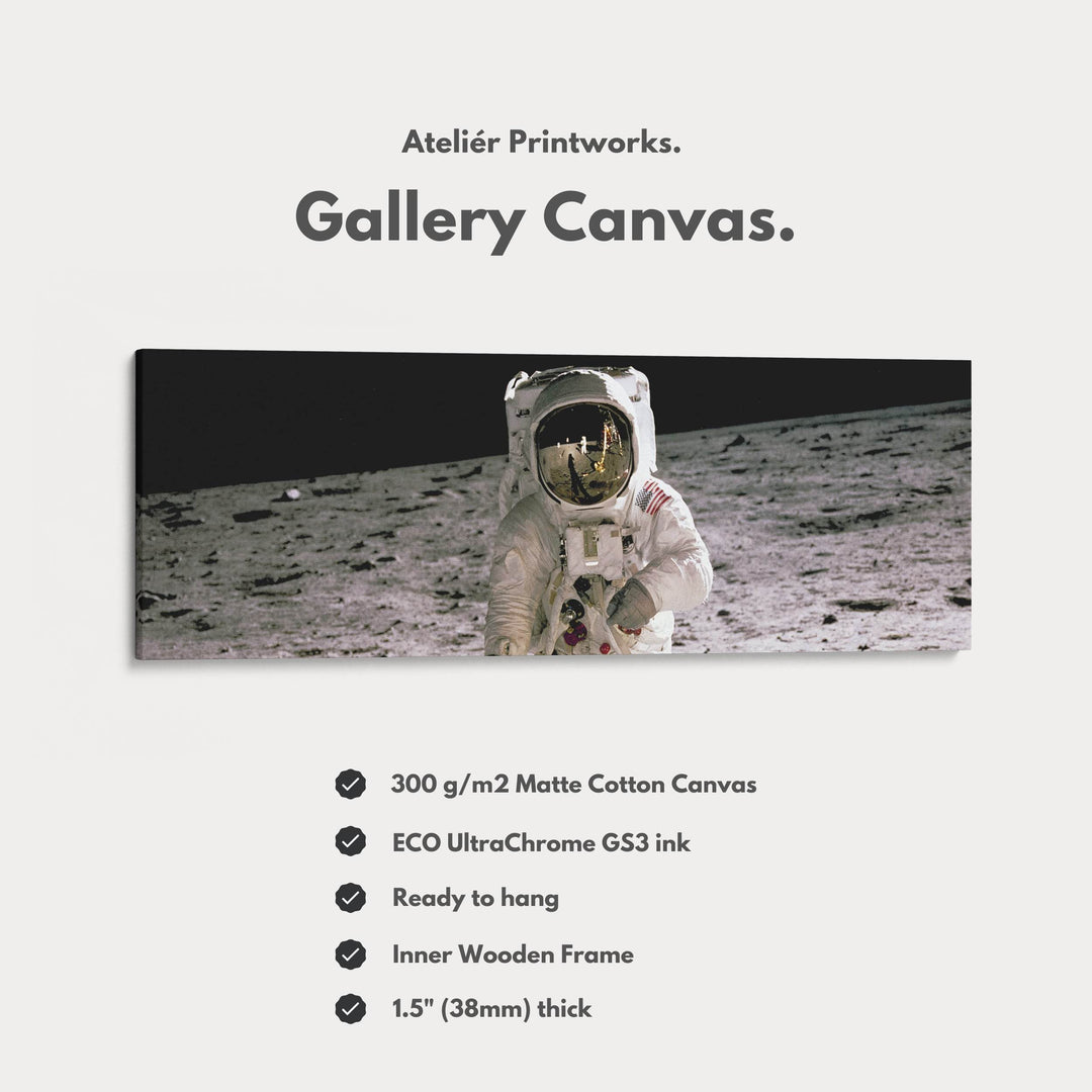 Long Horizontal Wall Art Astronaut Moon Walk NASA - Atelier Printworks