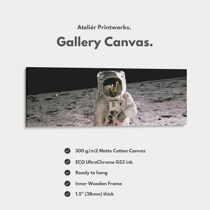 Long Horizontal Wall Art Astronaut Moon Walk NASA - Atelier Printworks