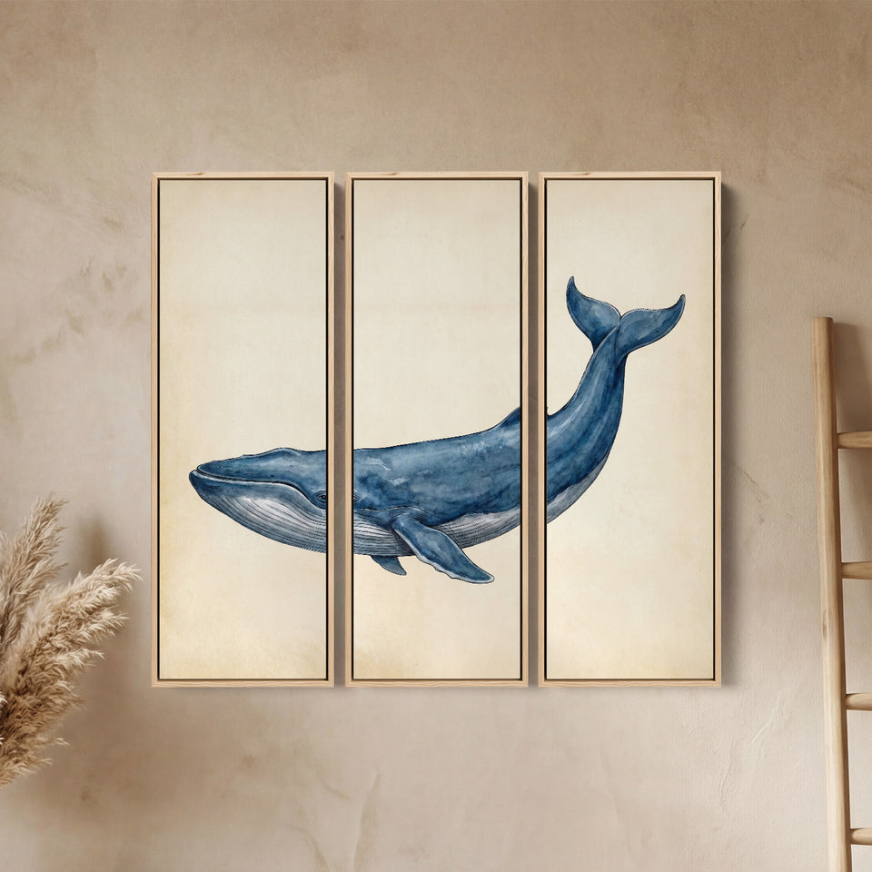Blue Whale Set Of 3 Wall Art for Office