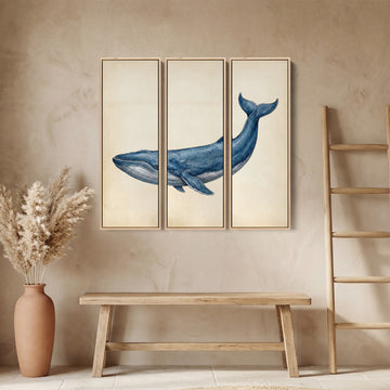 Blue Whale Set Of 3 Wall Art for Office