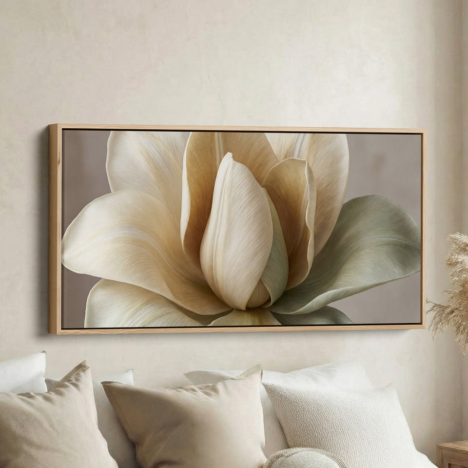 Panoramic Wall Art White Flower Close Up Horizontal Canvas Print Bedroom