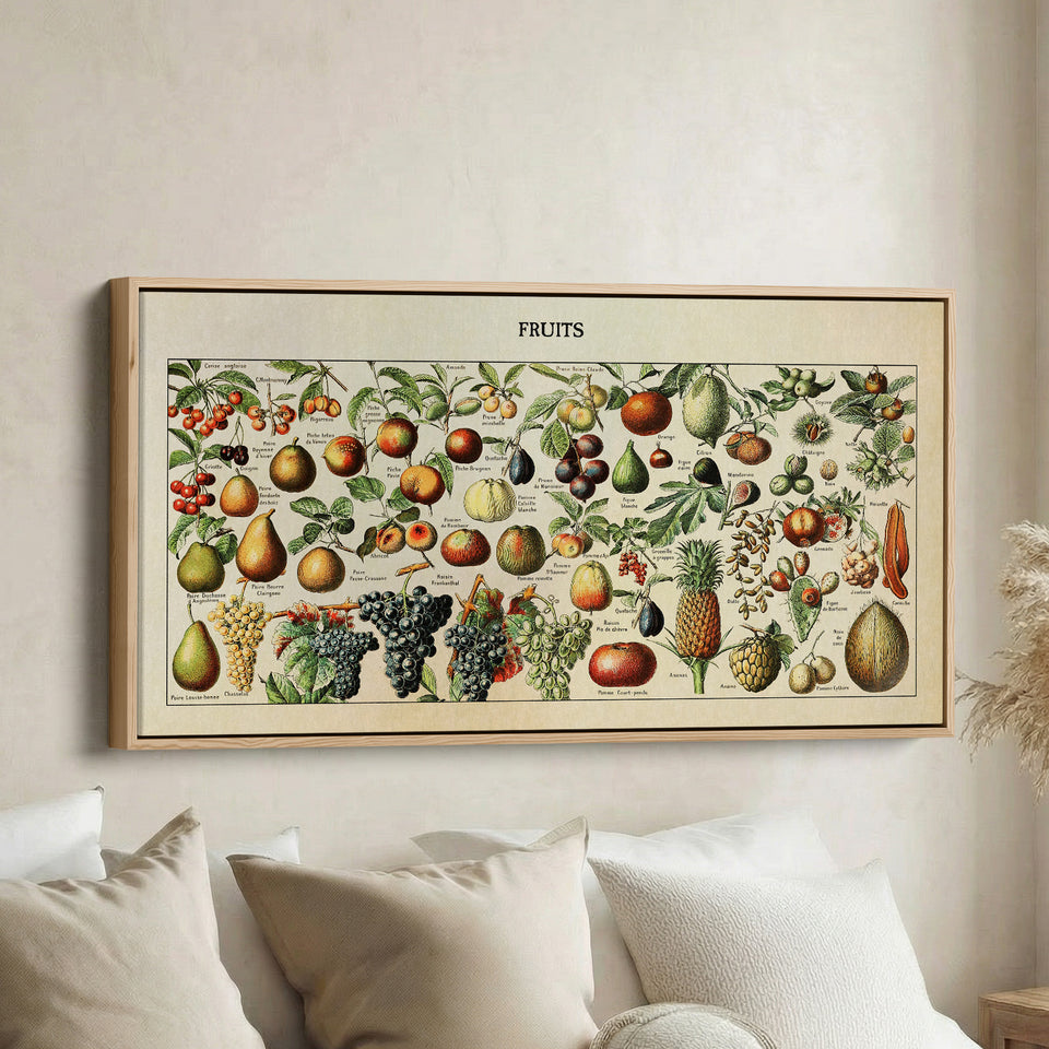 Adolphe Millot Vintage Fruit Chart Bedroom Wall Art Extra Wide Canvas For Kitchen