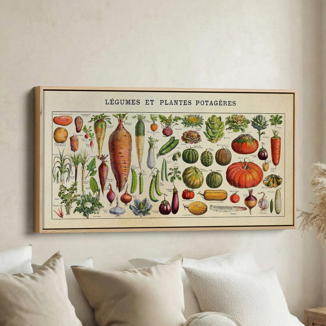 Adolphe Millot Legumes Wide Canvas Statement Wall Decor For Kitchen