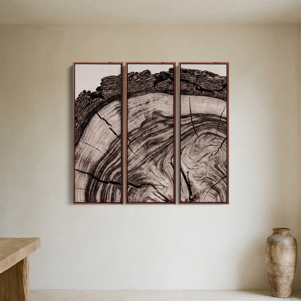 Groeiringen en schorsrand op een afgezaagde boomstronk, 3-delige wandkunst voor een thuiskantoor