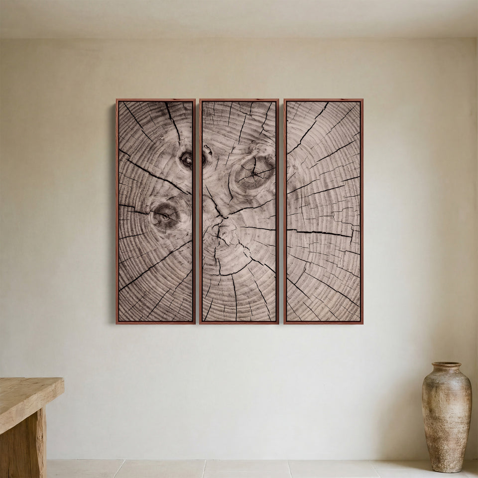 Wandkunstset van 3 met drie donkere knoesten boven een dressoir in de woonkamer, in bruin