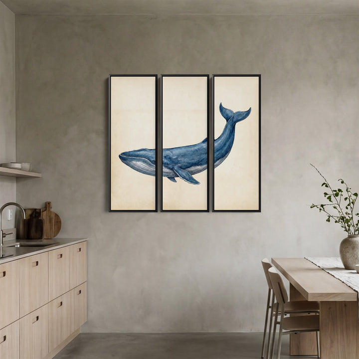 Blue Whale Set Of 3 Wall Art for Office