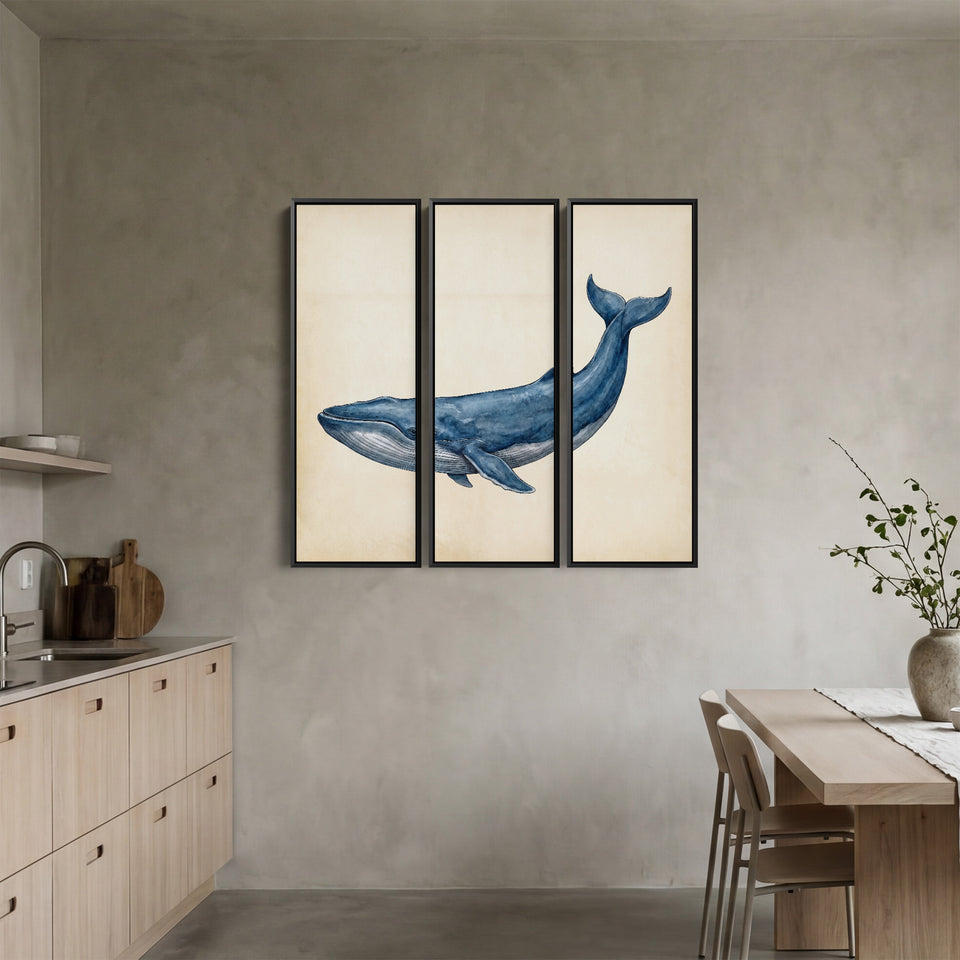 Blue Whale Set Of 3 Wall Art for Office