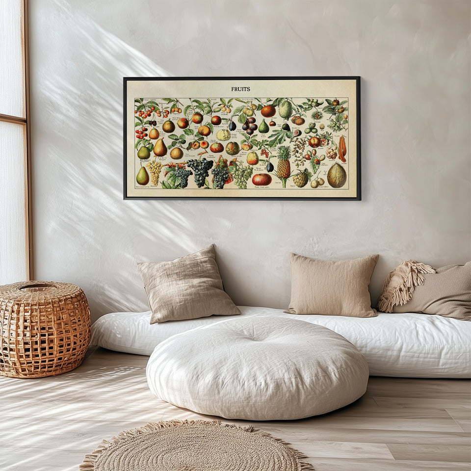 Adolphe Millot Vintage Fruit Chart Bedroom Wall Art Extra Wide Canvas For Kitchen