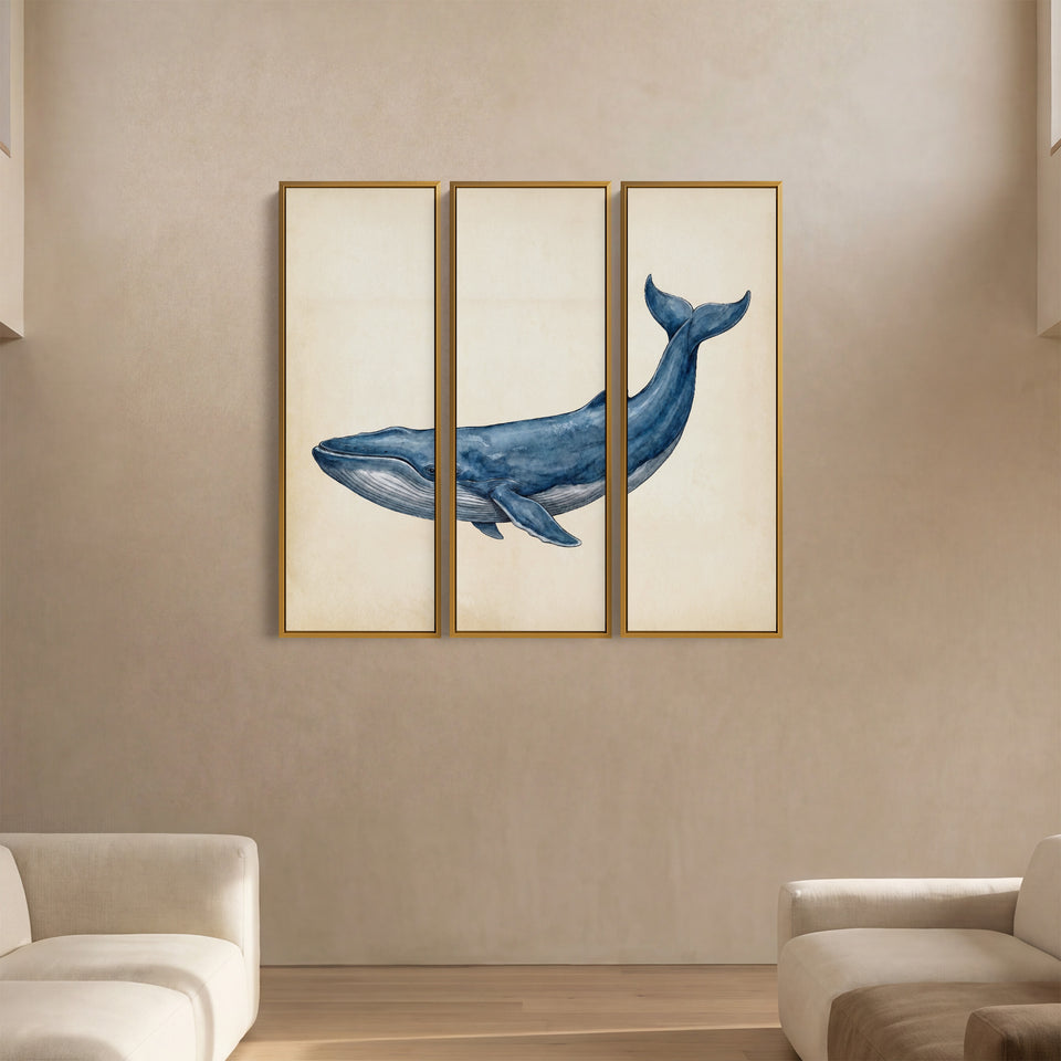 Blue Whale Set Of 3 Wall Art for Office
