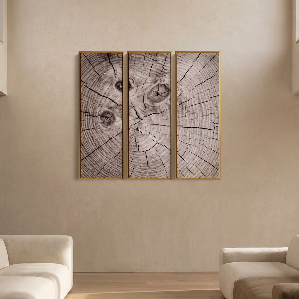 Wandkunstset van 3 met drie donkere knoesten boven een dressoir in de woonkamer, in bruin