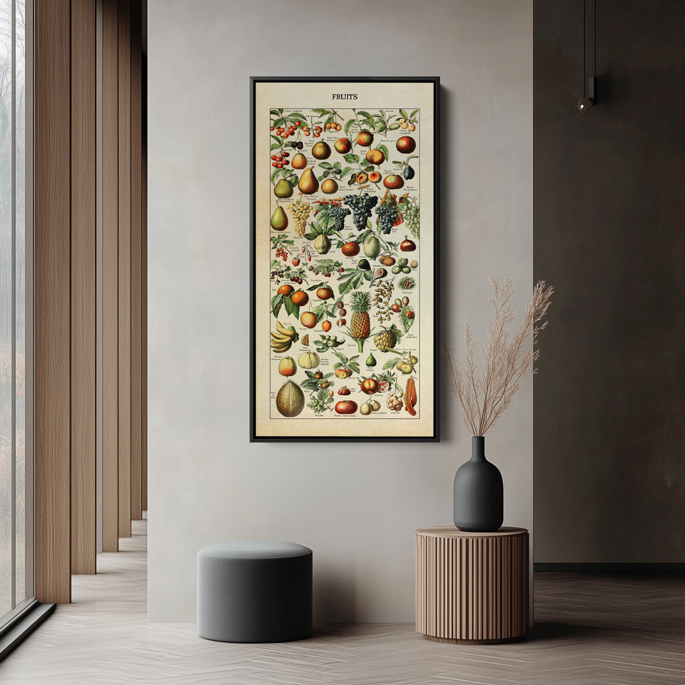 Adolphe Millot Vertical Wall Art Vintage Fruit Botanical Chart Tall Canvas For Kitchen