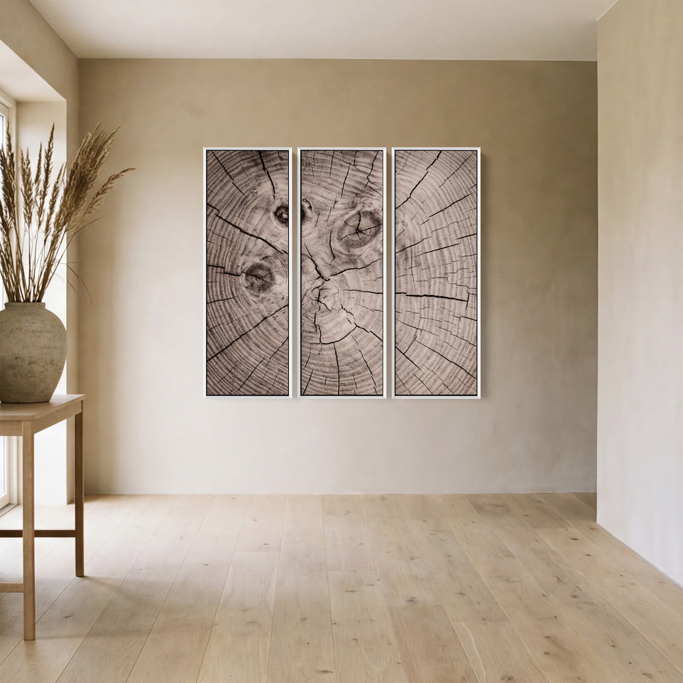 Wandkunstset van 3 met drie donkere knoesten boven een dressoir in de woonkamer, in bruin