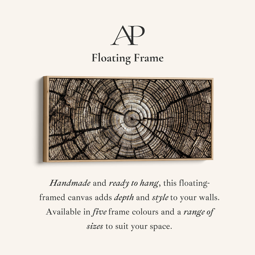 Tree Trunk Rings Large Wall Art Horizontal Canvas Print For Office