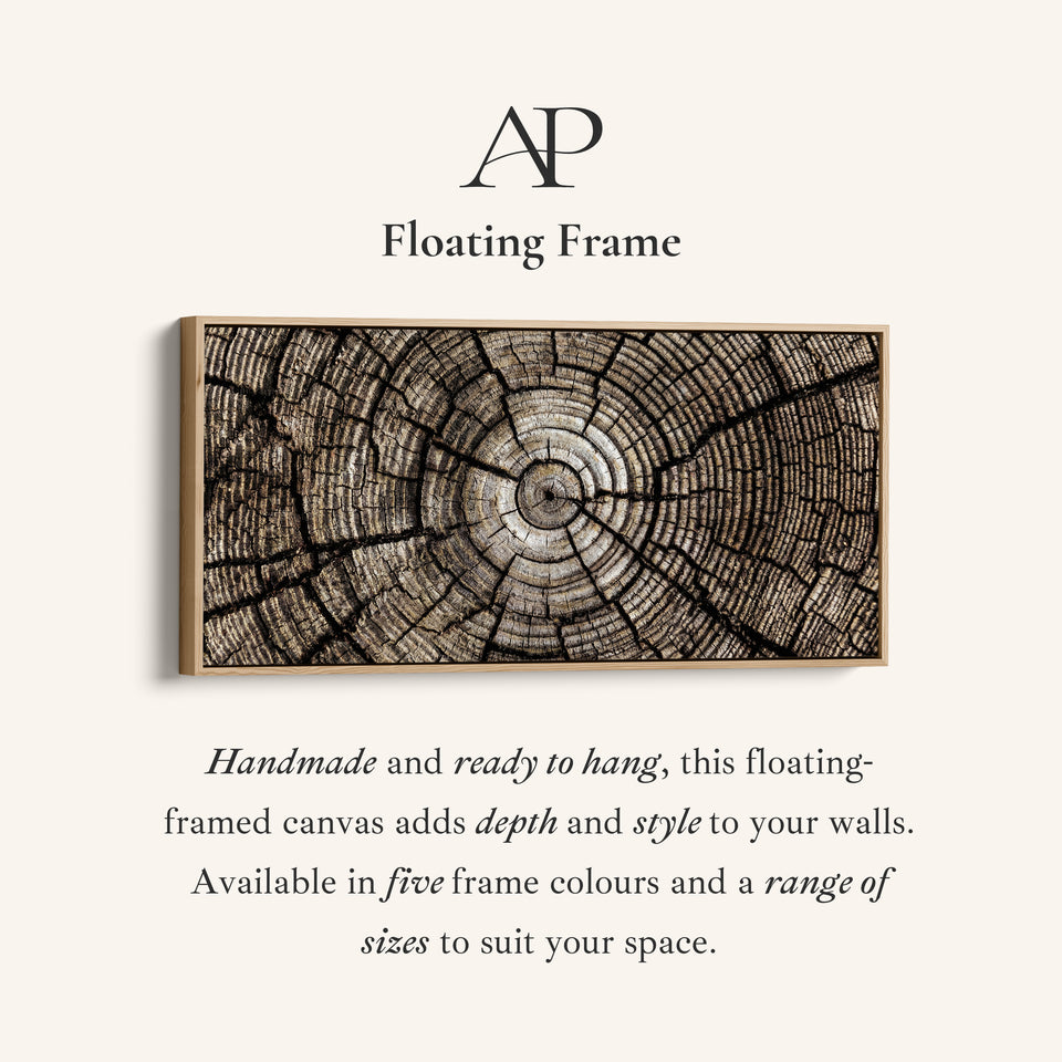 Tree Trunk Rings Large Wall Art Horizontal Canvas Print For Office