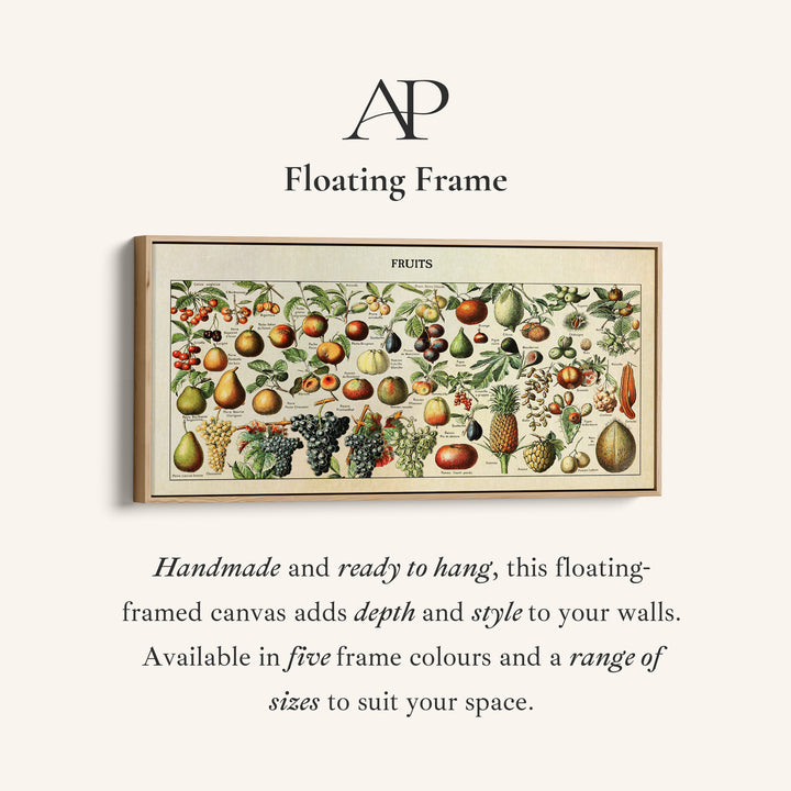 Adolphe Millot Vintage Fruit Chart Bedroom Wall Art Extra Wide Canvas For Kitchen
