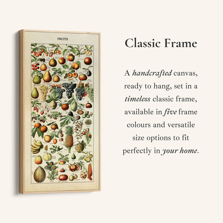 Adolphe Millot Vertical Wall Art Vintage Fruit Botanical Chart Tall Canvas For Kitchen