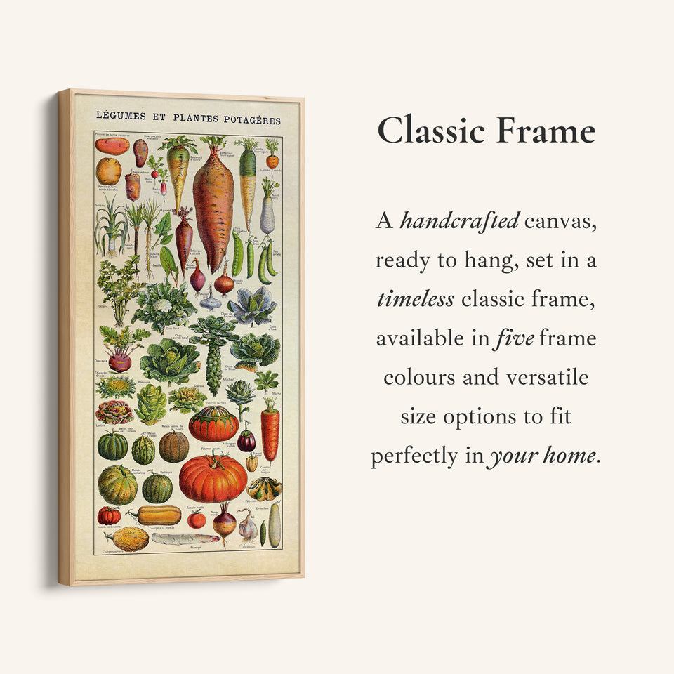 Adolphe Millot Vertical Wall Art Vintage Vegetable Botanical Chart Tall Canvas For Kitchen