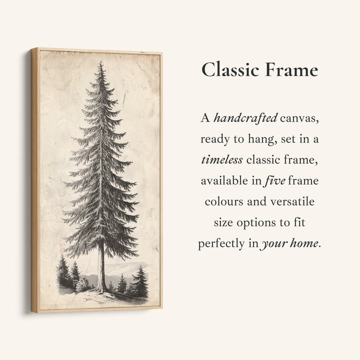 Vertical Wall Art Vintage Pine Illustration Tall Canvas For Office