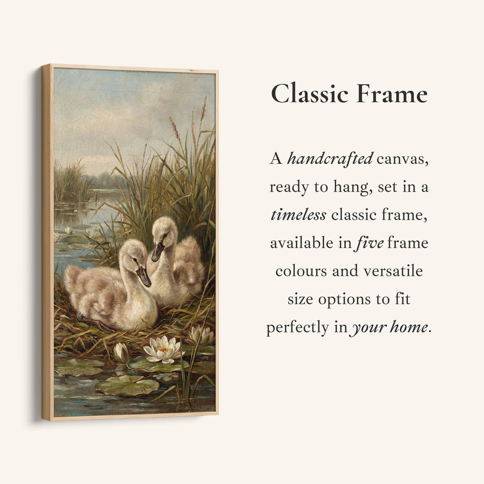 Swan Cygnets Pond Tall Narrow Canvas Vertical Canvas For Bedroom