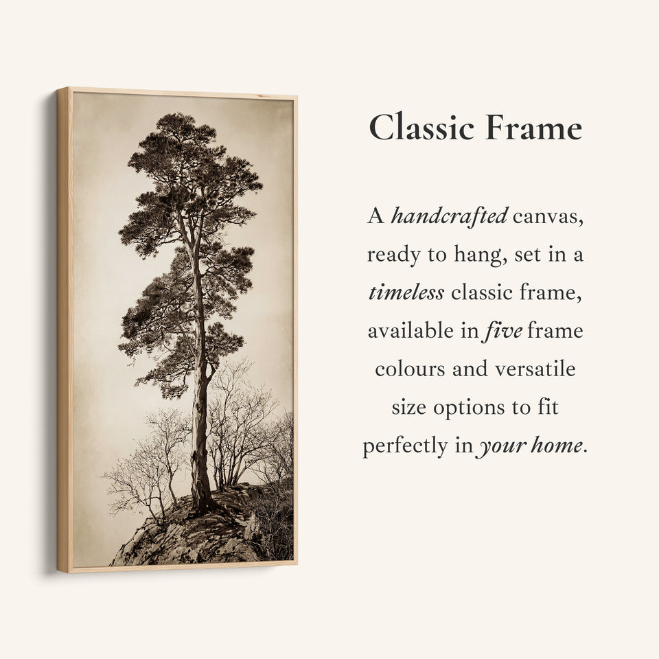 Vertical Wall Art Lone Tree On Rocky Hill Tall Canvas For Living Room