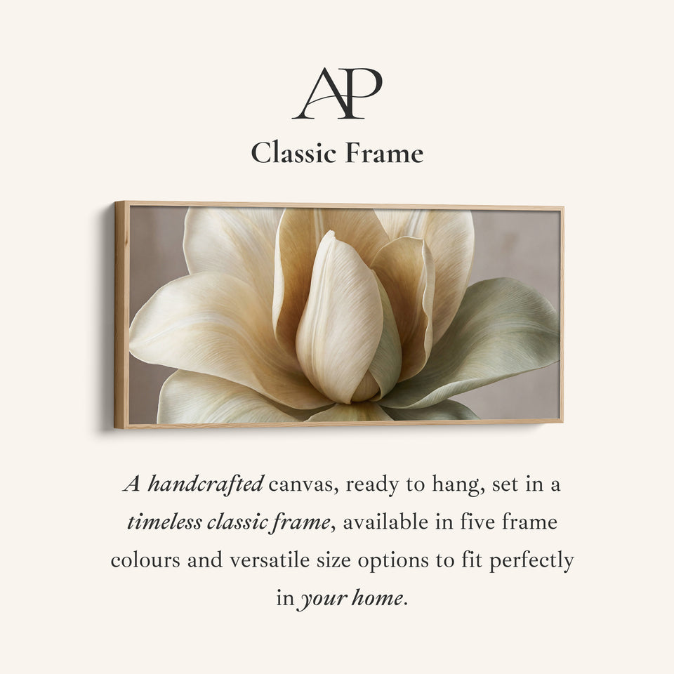 Panoramic Wall Art White Flower Close Up Horizontal Canvas Print Bedroom