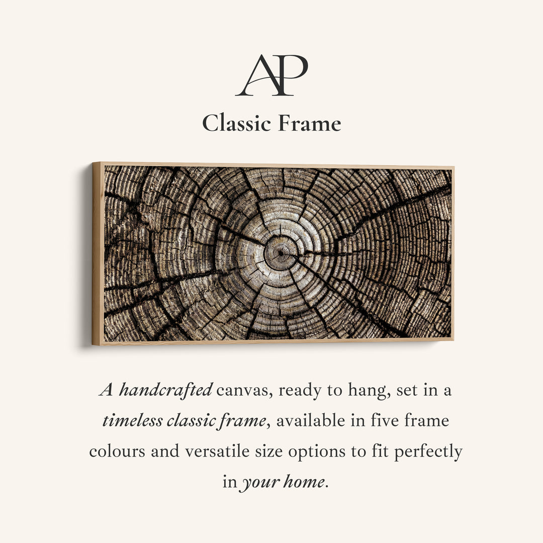 Tree Trunk Rings Large Wall Art Horizontal Canvas Print For Office