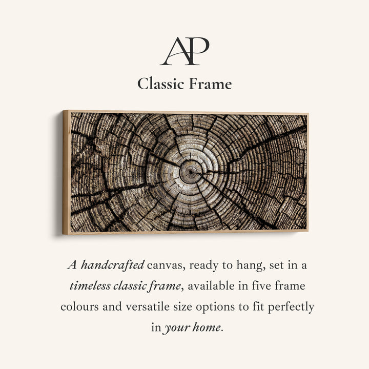 Tree Trunk Rings Large Wall Art Horizontal Canvas Print For Office