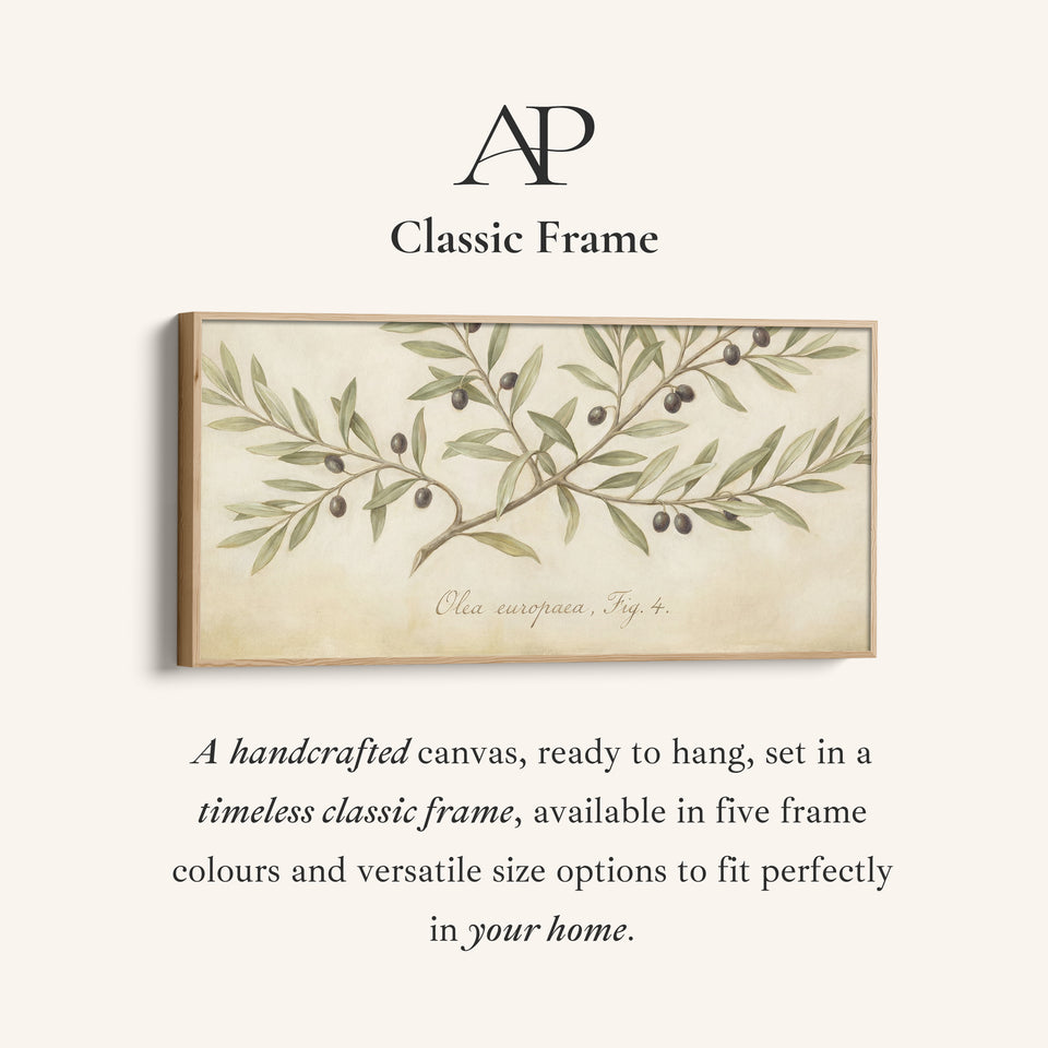 Olive Branch above bed wall art Horizontal Canvas Print For Kitchen