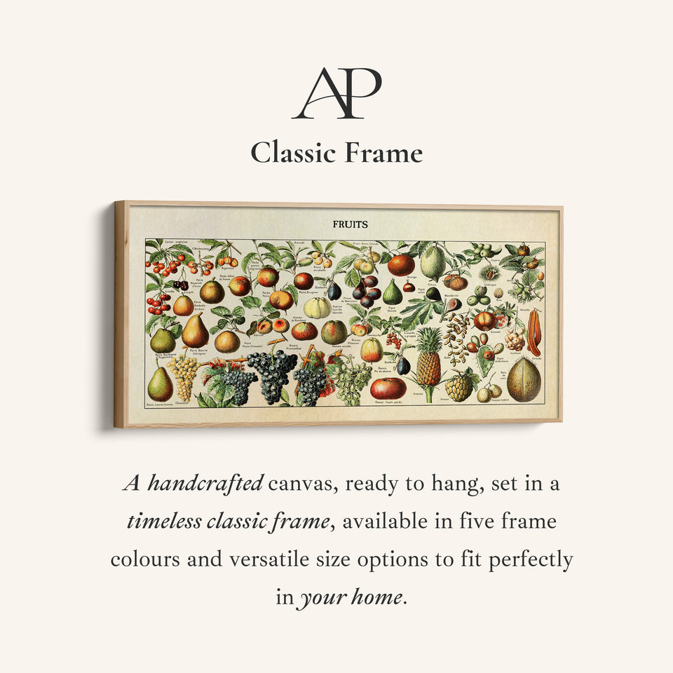 Adolphe Millot Vintage Fruit Chart Bedroom Wall Art Extra Wide Canvas For Kitchen