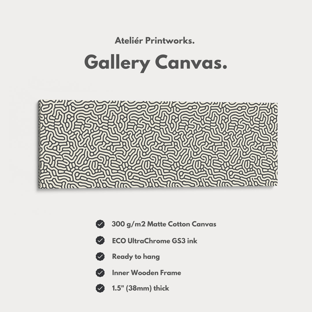 Minimalist Black Organic Pattern Horizontal Wall Art - H0257