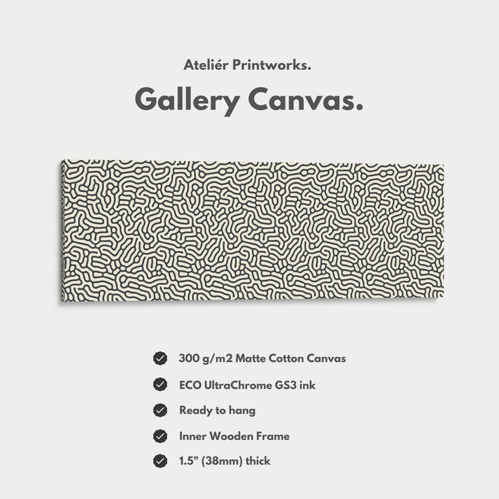 Minimalist Black Organic Pattern Horizontal Wall Art - H0257