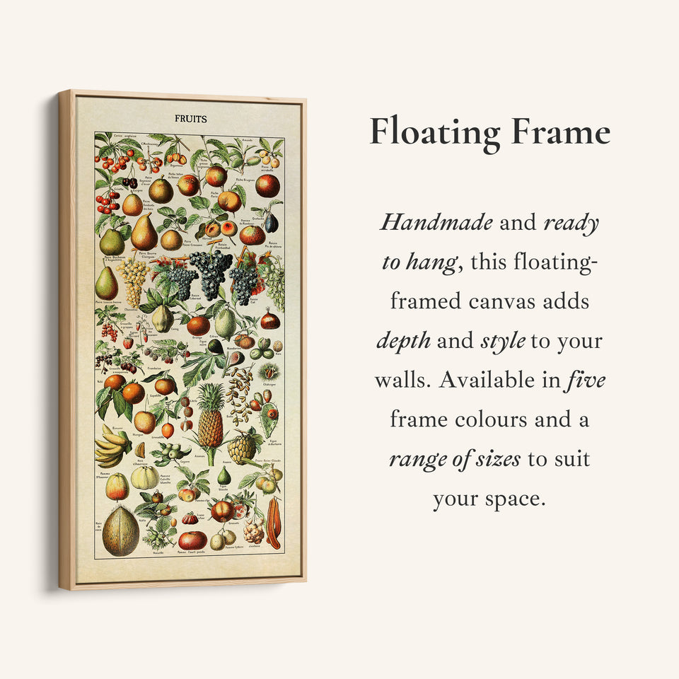 Adolphe Millot Vertical Wall Art Vintage Fruit Botanical Chart Tall Canvas For Kitchen