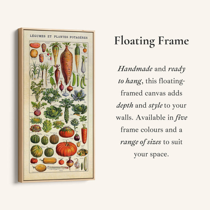 Adolphe Millot Vertical Wall Art Vintage Vegetable Botanical Chart Tall Canvas For Kitchen