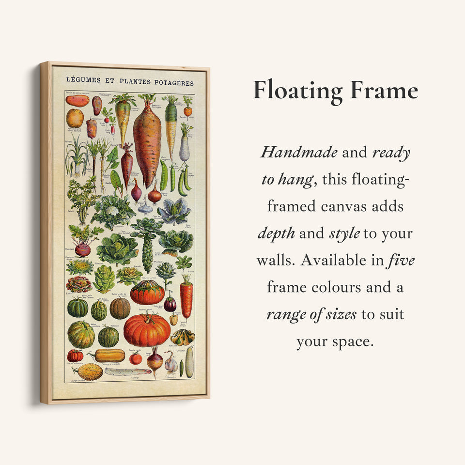 Adolphe Millot Vertical Wall Art Vintage Vegetable Botanical Chart Tall Canvas For Kitchen