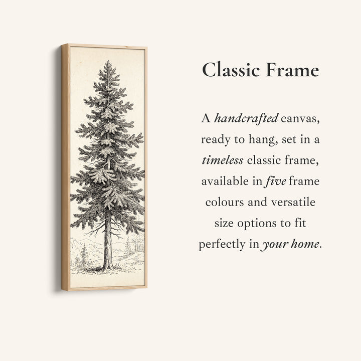 Vintage Pine Illustration Vertical Wall Art Wide Canvas Office