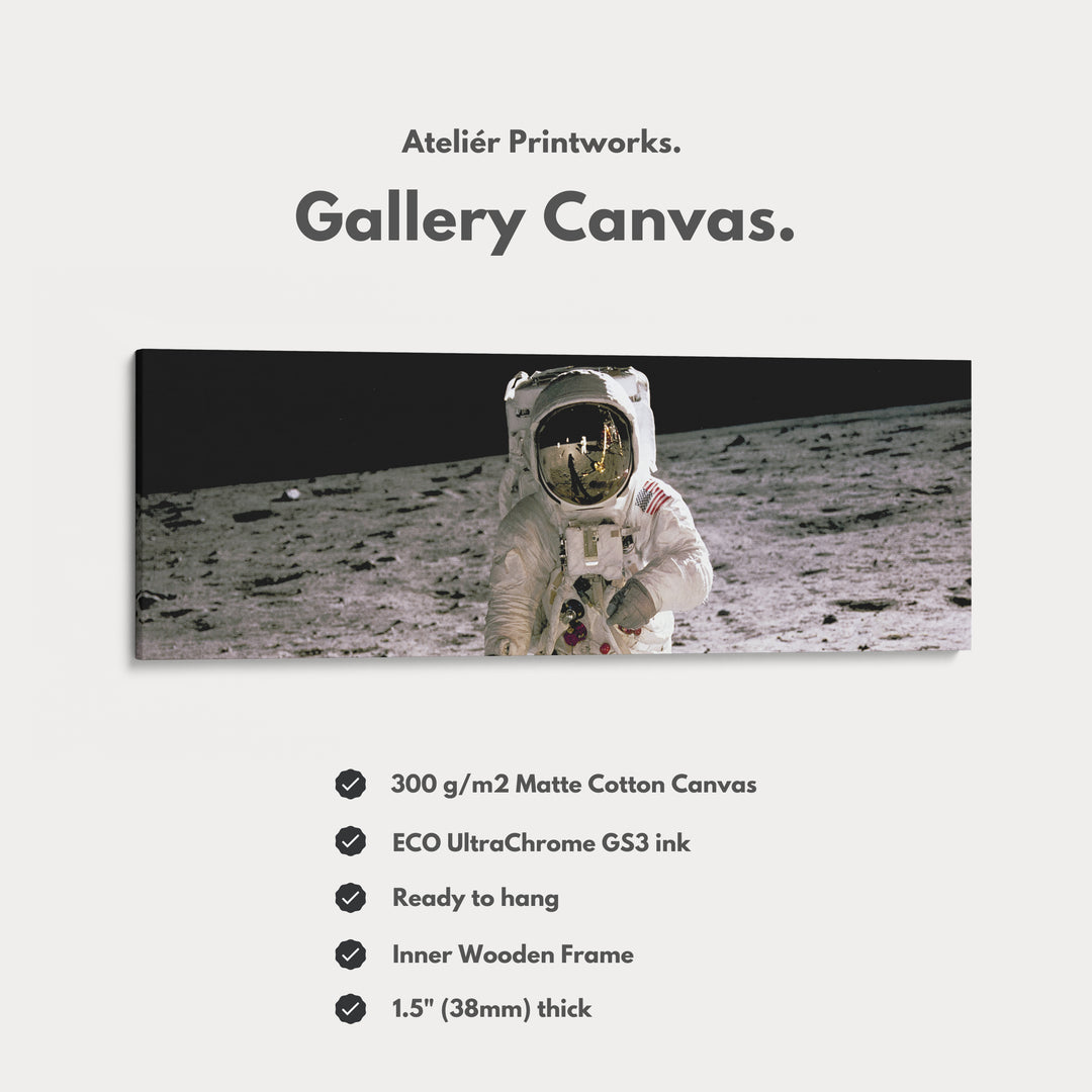 Long Horizontal Wall Art Astronaut Moon Walk NASA - H0379