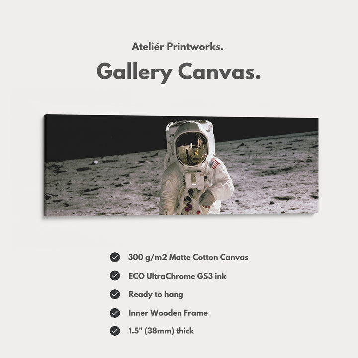 Long Horizontal Wall Art Astronaut Moon Walk NASA - H0379