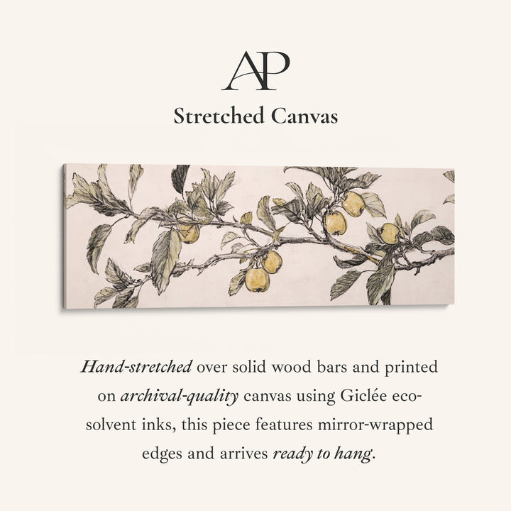 Apple Branch Sketch Long Wall Art Vintage Botanical for Kitchen stretched canvas, full artwork view