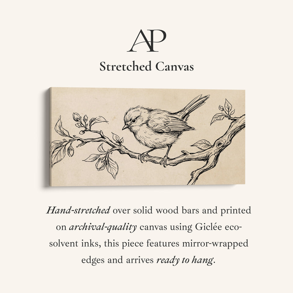 Bird Line Drawing Large Wall Art Statement Wall Decor For Bedroom