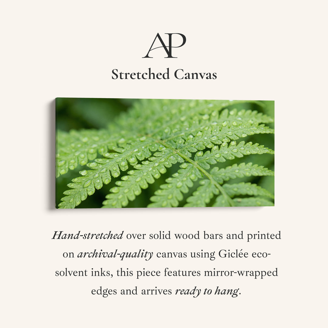 Botanical Detail Horizontal Wall Art Fern Leaf Horizontal Canvas Print For Bedroom
