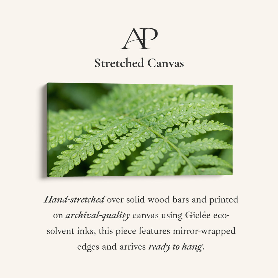 Botanical Detail Horizontal Wall Art Fern Leaf Horizontal Canvas Print For Bedroom