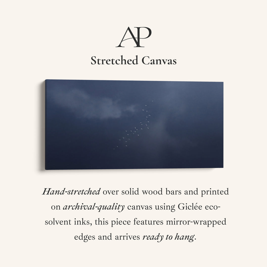 Above Bed Wall Art Birds In Dark Sky Oversized Wall Decor Bedroom