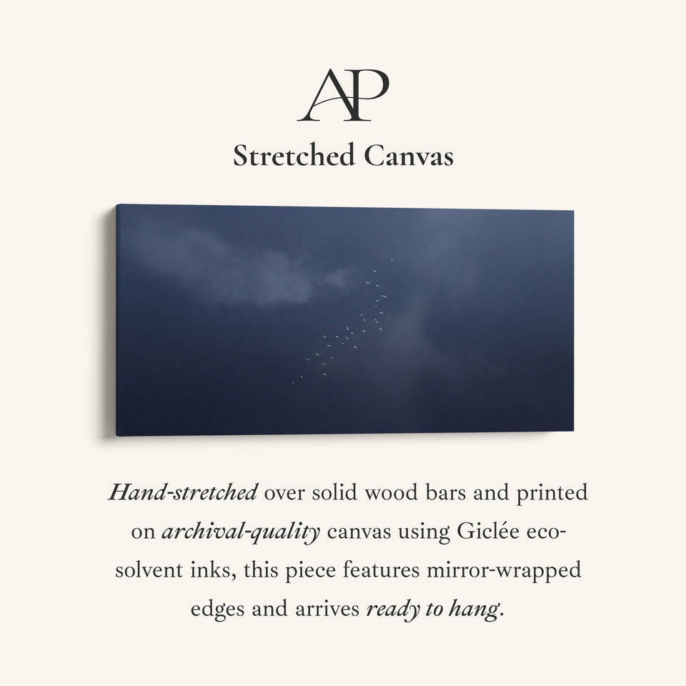 Above Bed Wall Art Birds In Dark Sky Oversized Wall Decor Bedroom