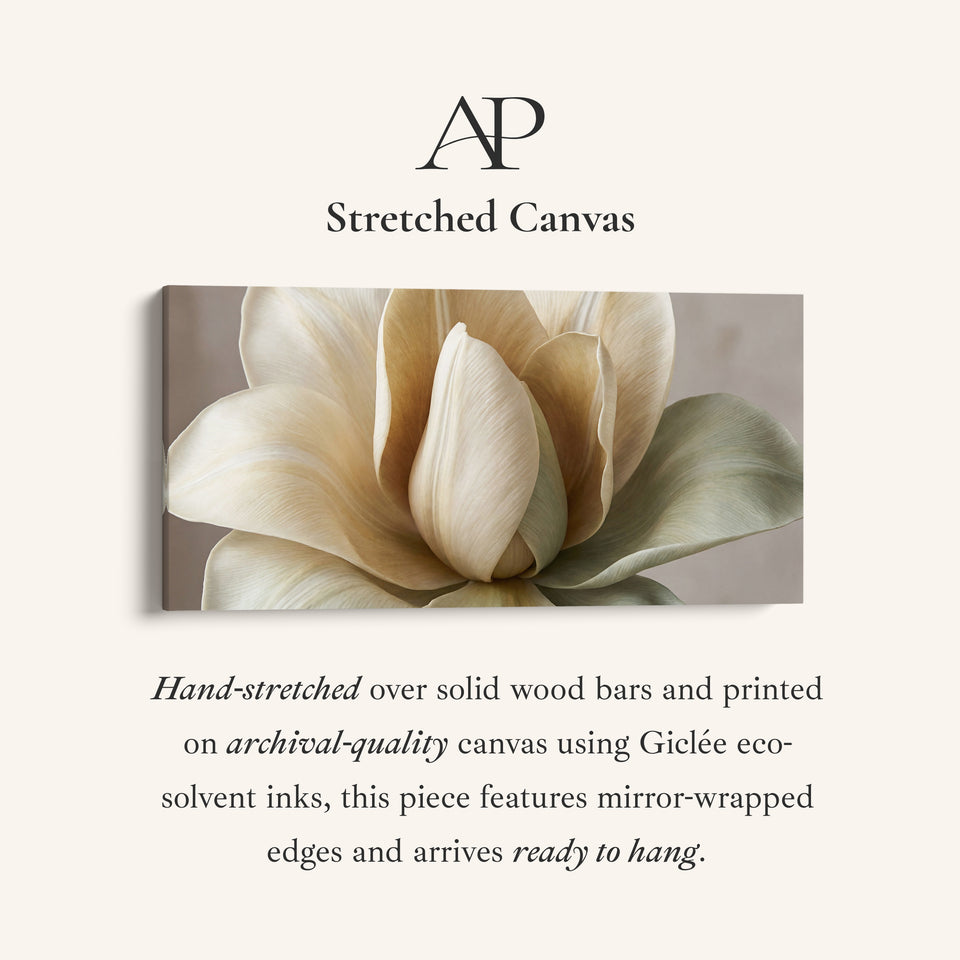 Panoramic Wall Art White Flower Close Up Horizontal Canvas Print Bedroom