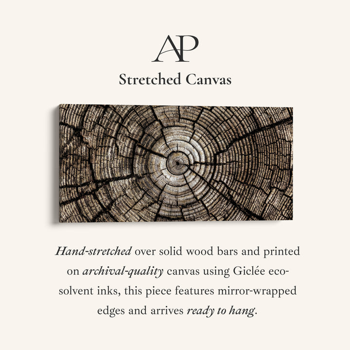 Tree Trunk Rings Large Wall Art Horizontal Canvas Print For Office