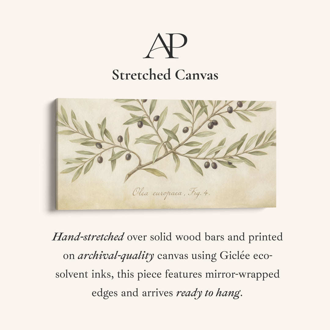 Olive Branch above bed wall art Horizontal Canvas Print For Kitchen