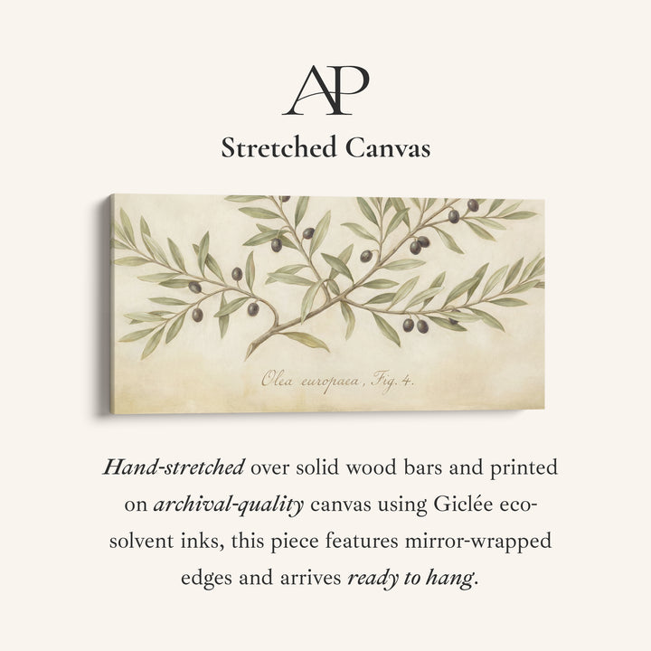 Olive Branch above bed wall art Horizontal Canvas Print For Kitchen