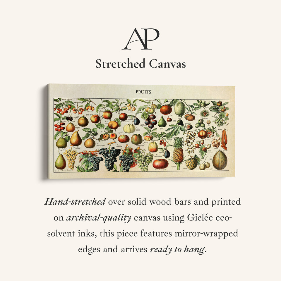 Adolphe Millot Vintage Fruit Chart Bedroom Wall Art Extra Wide Canvas For Kitchen