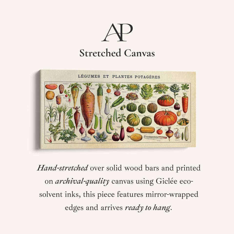 Adolphe Millot Legumes Wide Canvas Statement Wall Decor For Kitchen