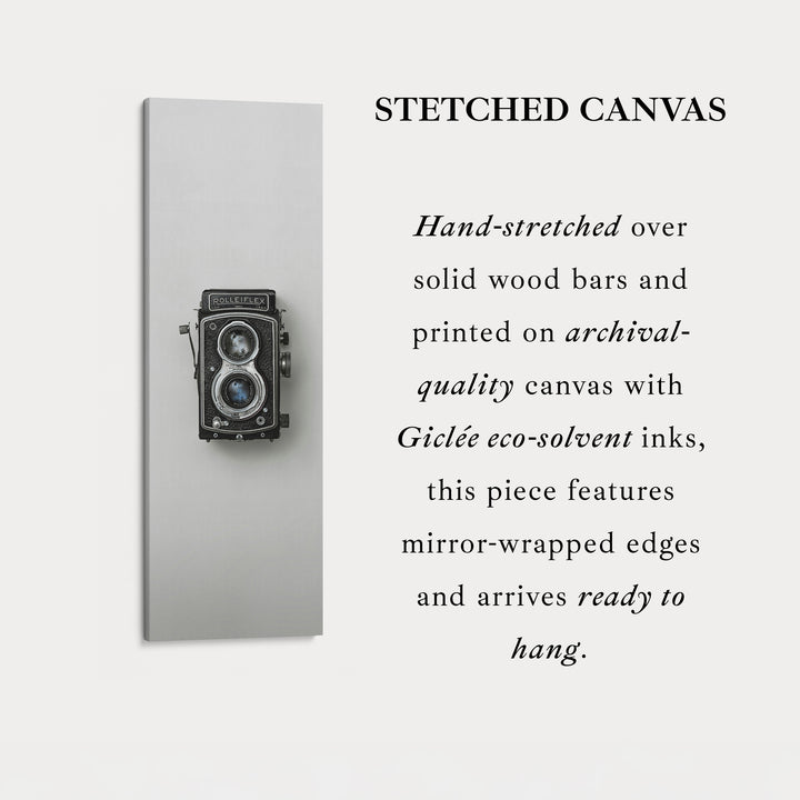 Minimalist Photography Rollieflex Framed Vertical Wall Art